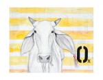 O-Ox