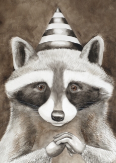 Masquerade Raccoon